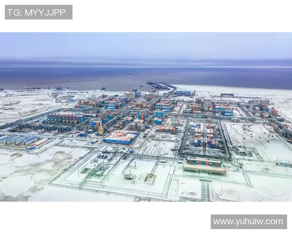 亚马尔地区自然资源开发与气候变化对全球能源市场的影响分析