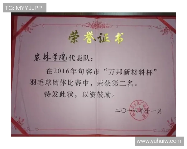武汉羽毛球队速度分析与训练策略探讨助力竞技水平提升